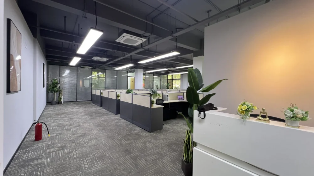 Modern minimalist open-plan office interior with gray workstation partitions and glass walls